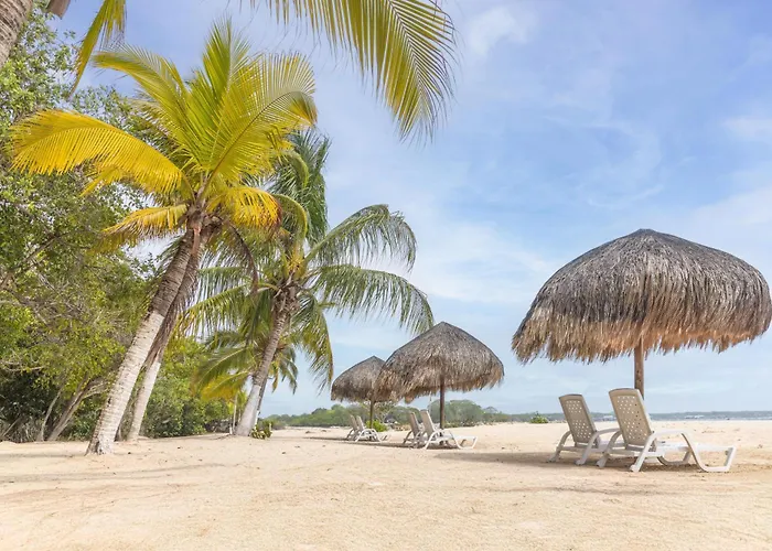 Decameron Baru